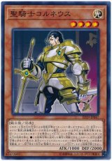 聖騎士コルネウス【ノー】