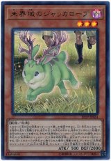 未界域のジャッカロープ【ウル】