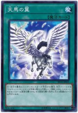 天馬の翼【ノー】