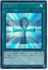 死者蘇生(15AX)【シク】（Bランク）