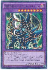 超魔導剣士-ブラック・パラディン【パラ】（Bランク）