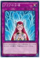 アクアの合唱【ノー】（Bランク）