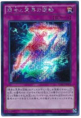 現世と冥界の逆転【シク】（Bランク）