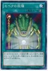 セベクの祝福【ノー】（Bランク）