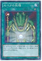 セベクの祝福【パラ】（Bランク）