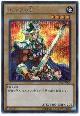 エルフの剣士【シク】（Bランク）