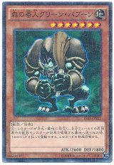 森の番人グリーン・バブーン【パラ】（Bランク）