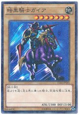 暗黒騎士ガイア【パラ】