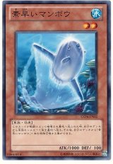 素早いマンボウ（Bランク）