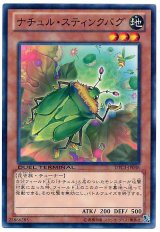 ナチュル・スティンクバグ（Ｄランク）