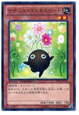 ナチュル・コスモスビート（Cランク）