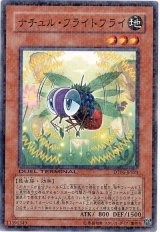 ナチュル・フライトフライ（Bランク）