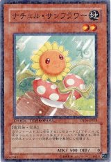 ナチュル・サンフラワー（Ｄランク）