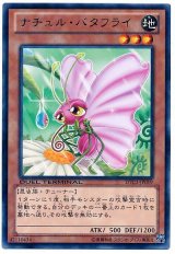 ナチュル・バタフライ（Bランク）