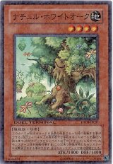 ナチュル・ホワイトオーク【スー】（Bランク）
