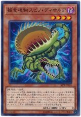 捕食植物スピノ・ディオネア【ノー】