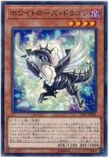 ホワイトローズ・ドラゴン【ノー】（Bランク）