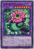 捕食植物キメラフレシア【レア】