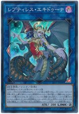 レプティレス・エキドゥーナ【スー】（Bランク）