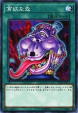 貪欲な壺【ノー】（Bランク）