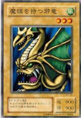 魔頭を持つ邪竜