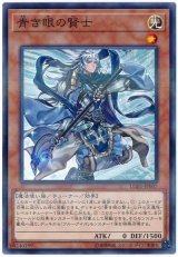 青き眼の賢士【パラ】（Bランク）