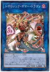 トポロジック・ボマー・ドラゴン【パラ】（Bランク）
