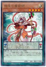 相生の魔術師【パラ】