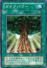 ガイアパワー