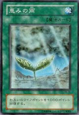 恵みの雨