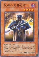 熟練の黒魔術師