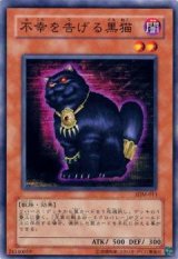 不幸を告げる黒猫