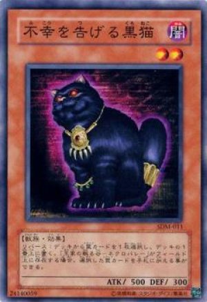 画像1: 不幸を告げる黒猫