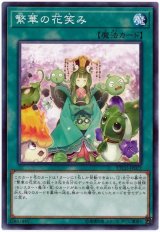 繁華の花笑み【ノレ】（Bランク）