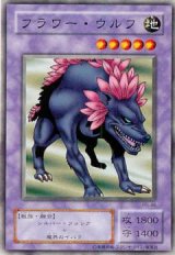 フラワー・ウルフ