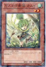 ガスタの希望 カムイ（Bランク）