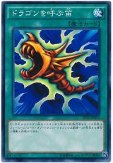 ドラゴンを呼ぶ笛【ノー】