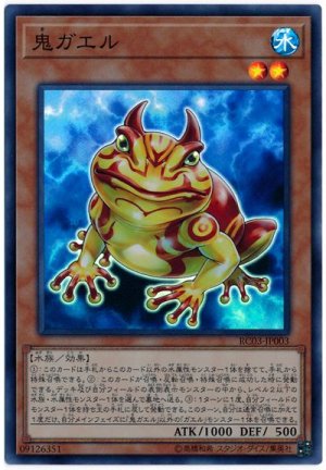 画像1: 鬼ガエル【スー】（Bランク）