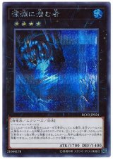 深淵に潜む者【シク】（Ｂランク）