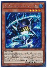 ライトハンド・シャーク【シク】(Ｂランク)