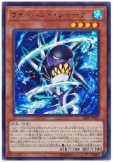 ライトハンド・シャーク【ウル】（Ｂランク）