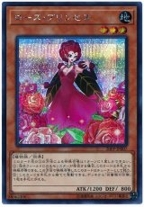 ローズ・プリンセス【シク】