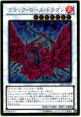 ブラック・ローズ・ドラゴン【ゴルシク】（Ｂランク）