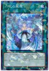 六花の風花【パラ】