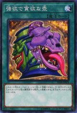 強欲で貪欲な壺【ノー】（Bランク）