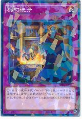 契約洗浄【パラ】（Bランク）