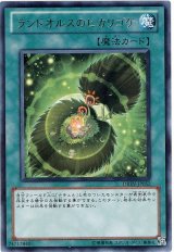 ランドオルスのヒカリゴケ（Bランク）