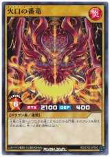 火口の番竜【ノー】