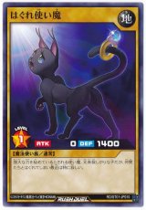 はぐれ使い魔【ノー】