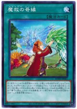 魔救の奇縁【ノー】